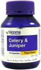 Blooms Celery and Juniper