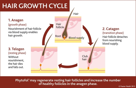 Thinning Hair or Hair Loss Activating your hair follicles could be the  answer