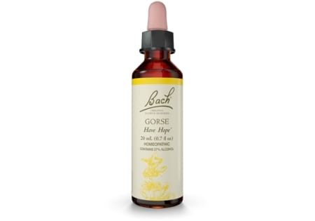 Bach Remedy Gorse