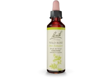 Bach Remedy Wild Rose