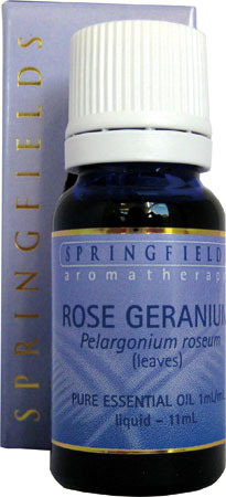 Rose Geranium Springfields Essential Oil