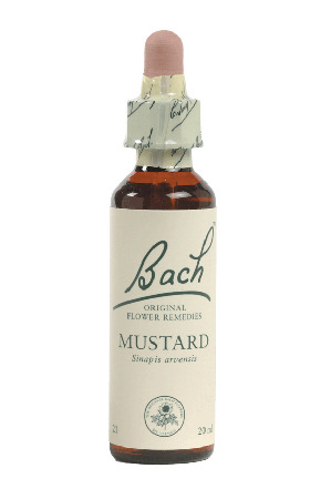 Mustard - Bach Flower Remedies