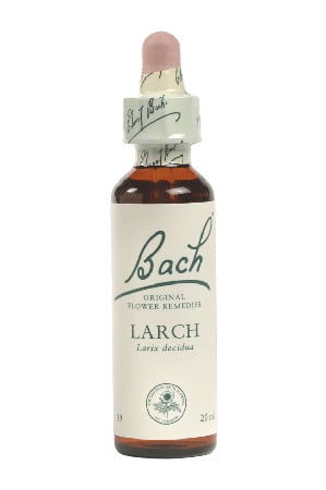 Larch - Bach Flower Remedies